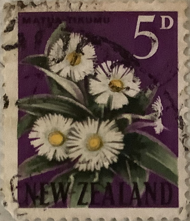 Celebrate The Century - 1950's - 3-D Movies