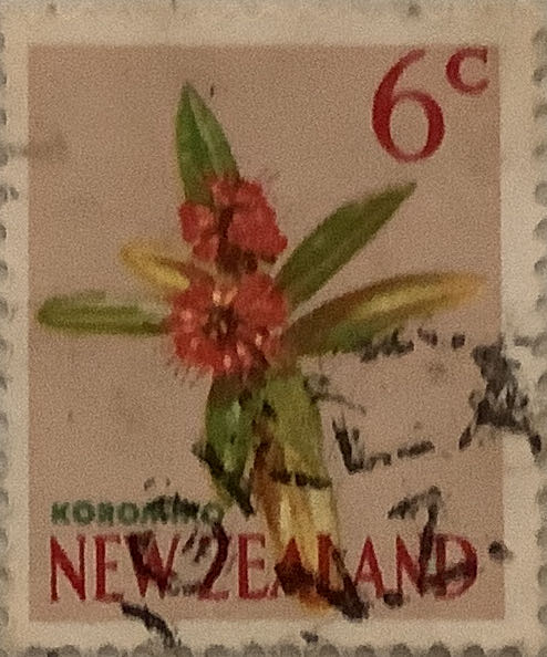 Marbled White Butterfly