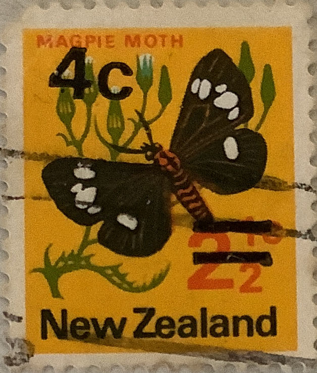 Wedding Of Princess Anne And Captain Mark Philips