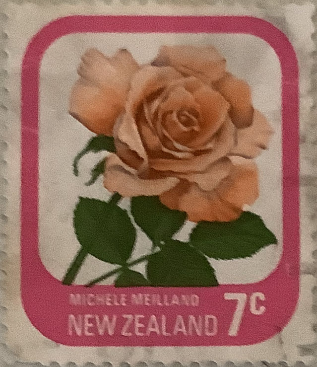 South African Architecture