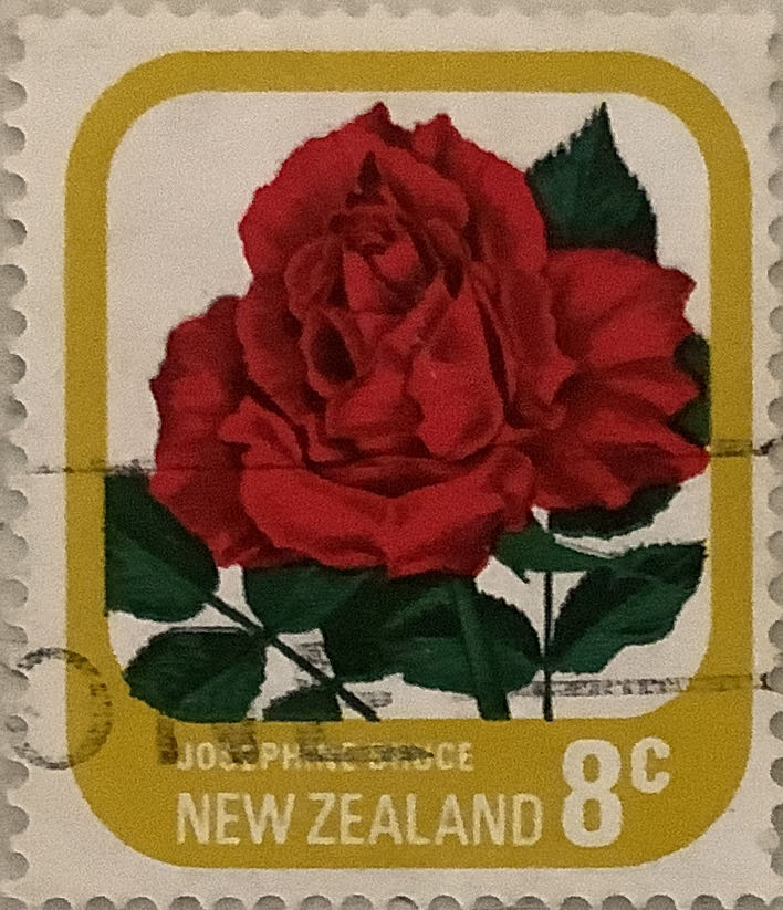 Swiss Alps Children In Traffic