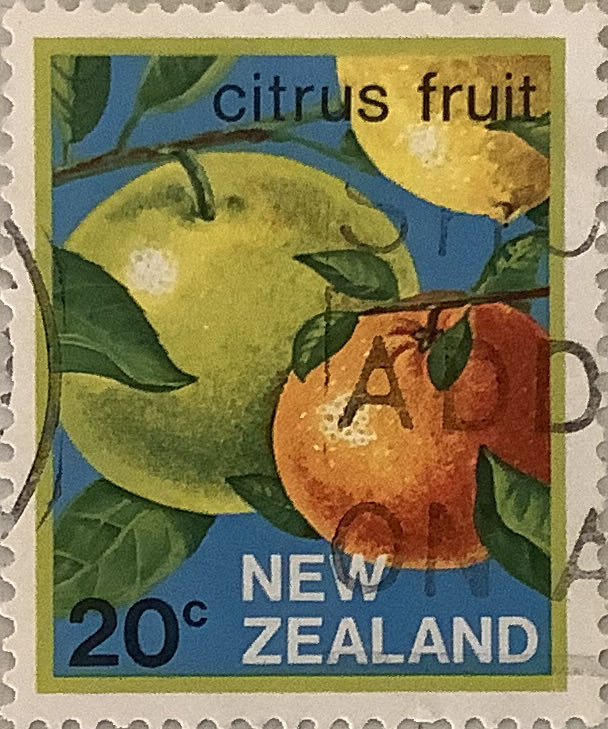 Bicycle Jumbo Playing Cards 1 Pack