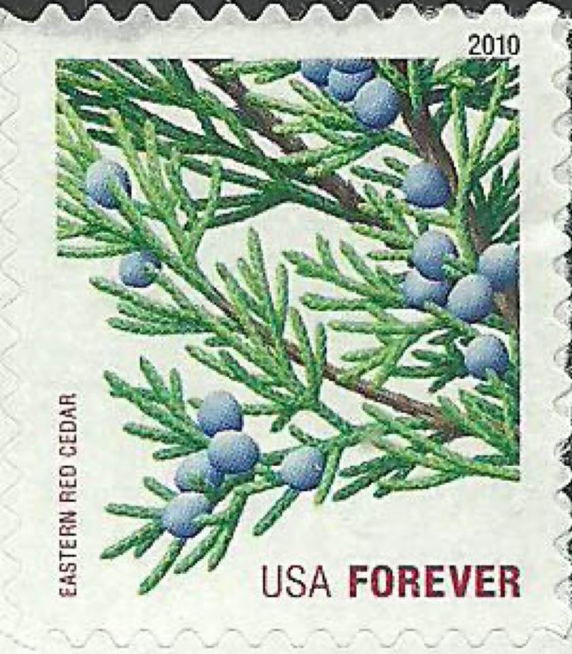 Comisión Nacional De Los Libros De Textos Gratuitos