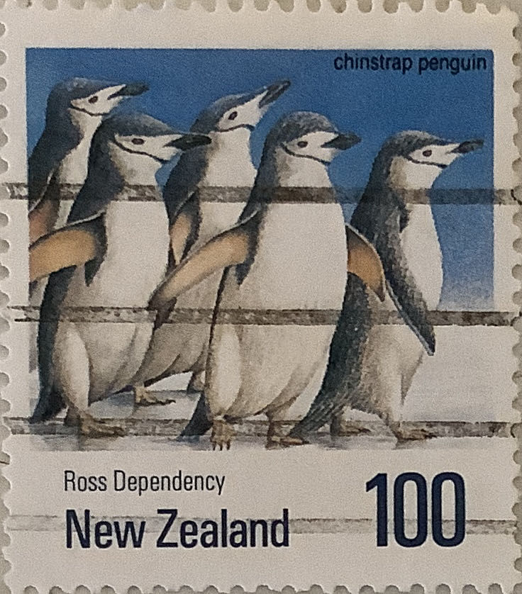 Balade A Noirmoutier