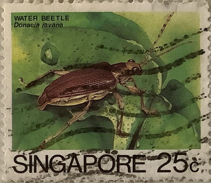 Transcontinental Railway 50 Years