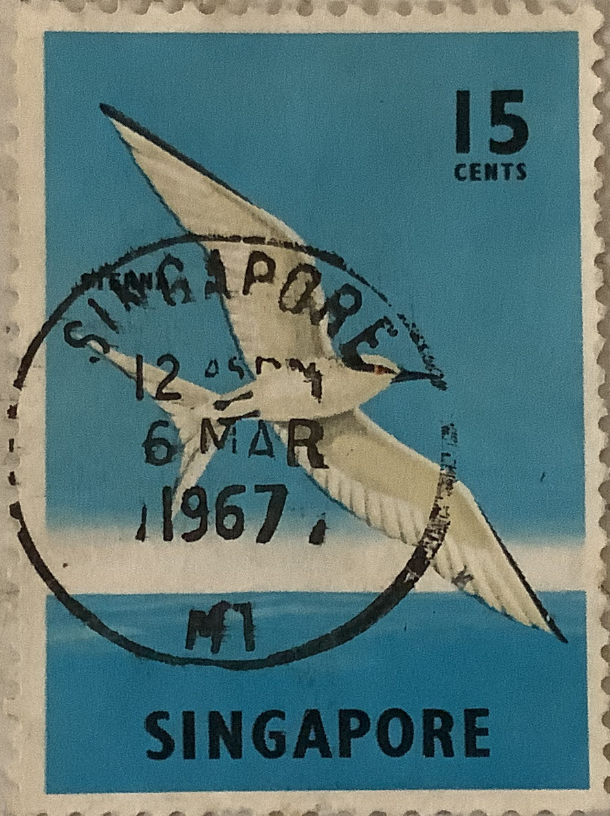 South African Architecture