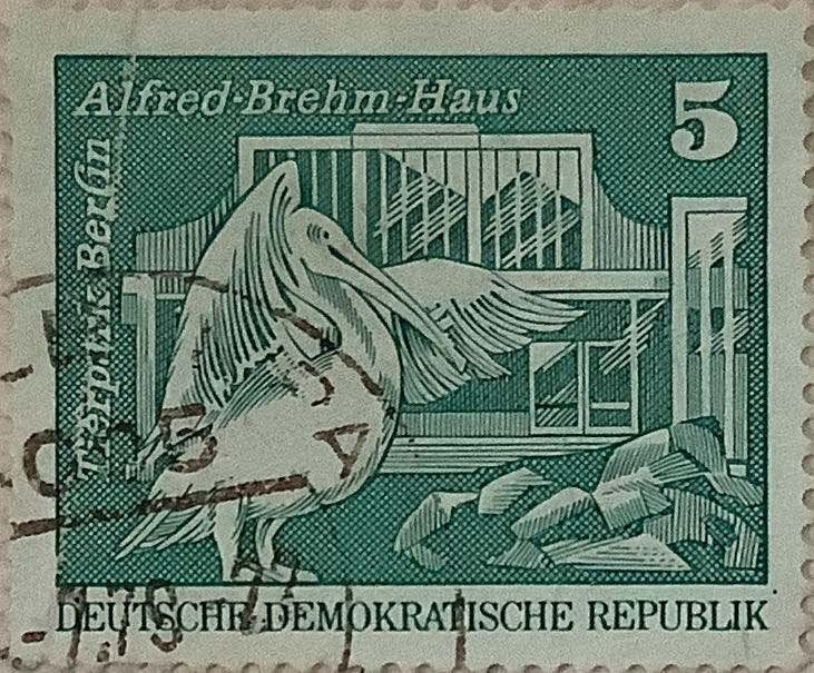 Coat Of Arms Of Hong Kong