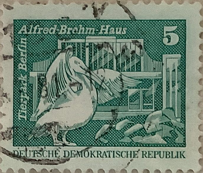 Cards: Coca Cola - Santa