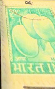 Mangoes  stamp collectible - Main Image 2