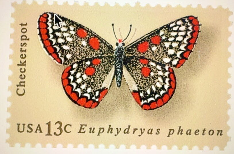Baltimore Checkerspot  stamp collectible - Main Image 2