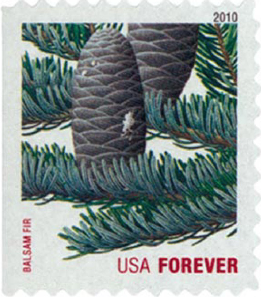 Onde Te Leva Um Selo