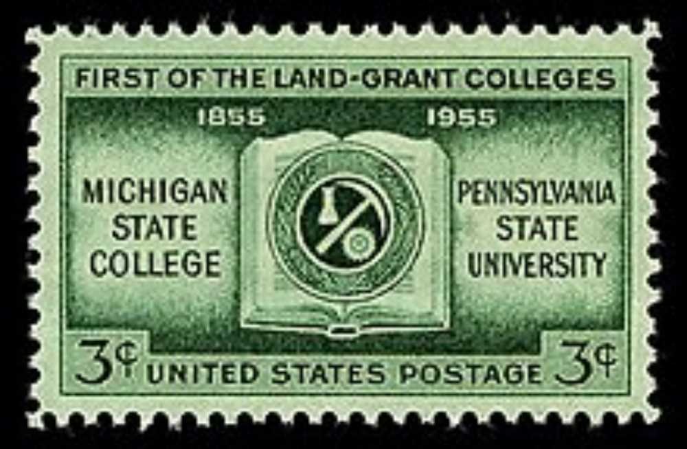 Gnome For The Holidays