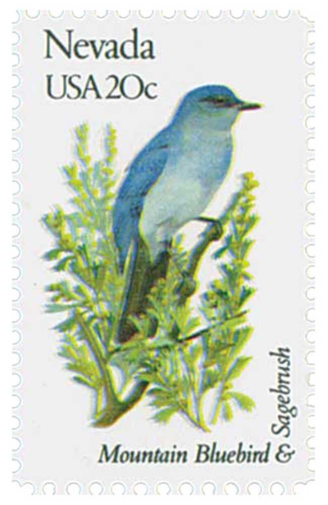 Four-eyed Butterflyfish