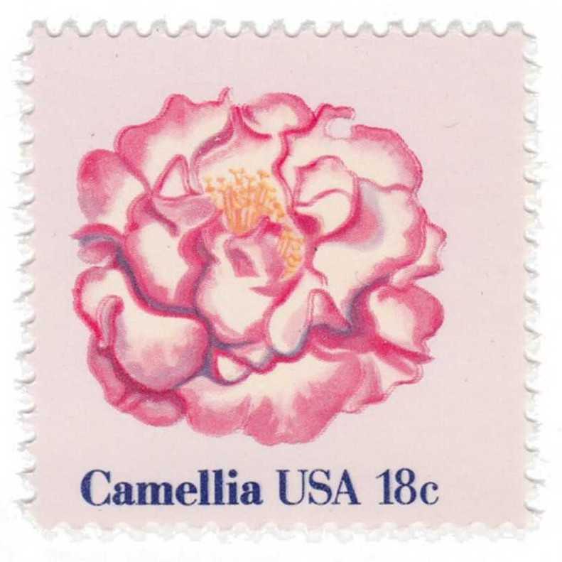 Explorers And Discoverers