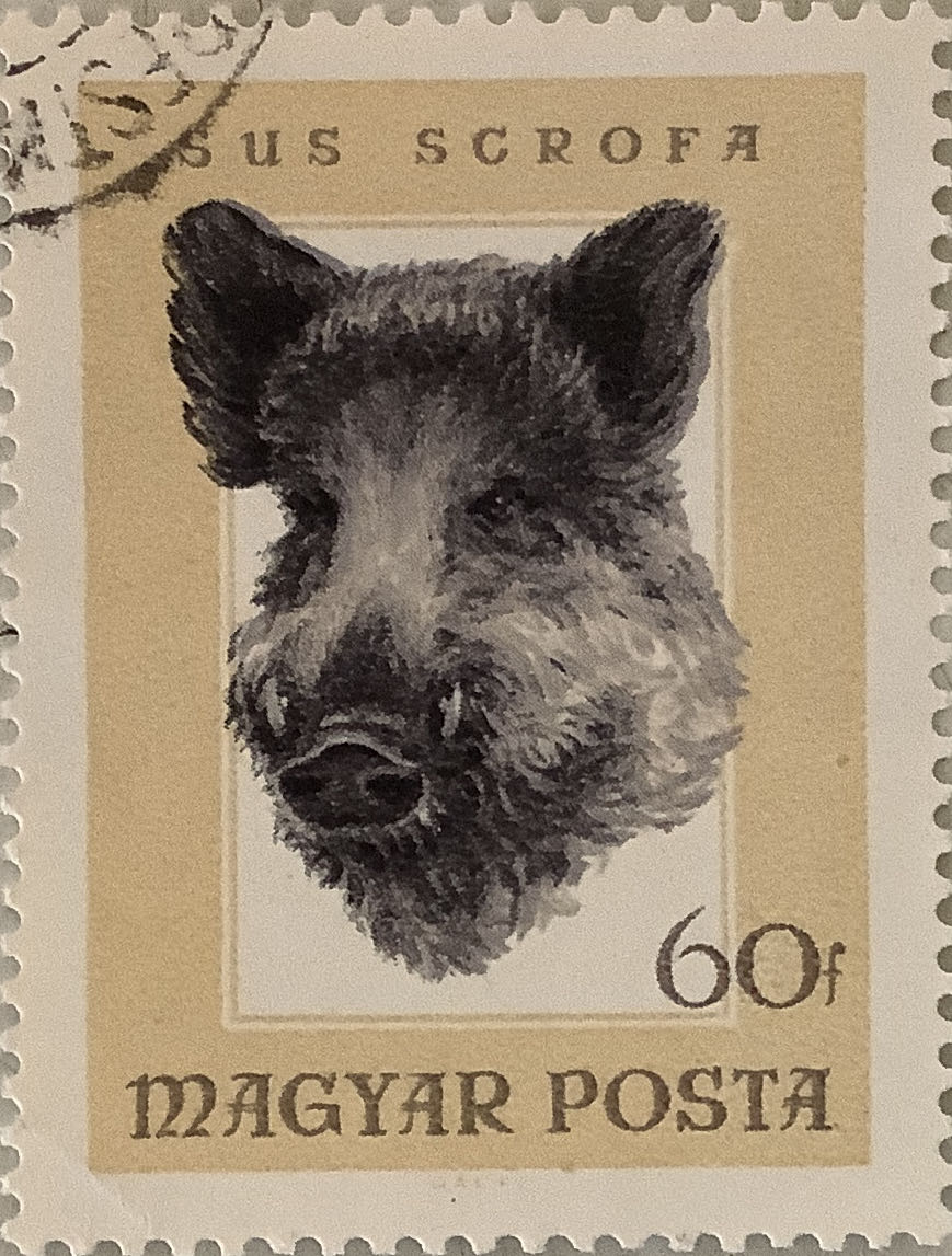 Australian Antarctic Territory