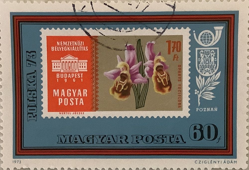 The Crowned Lady of Siracusana