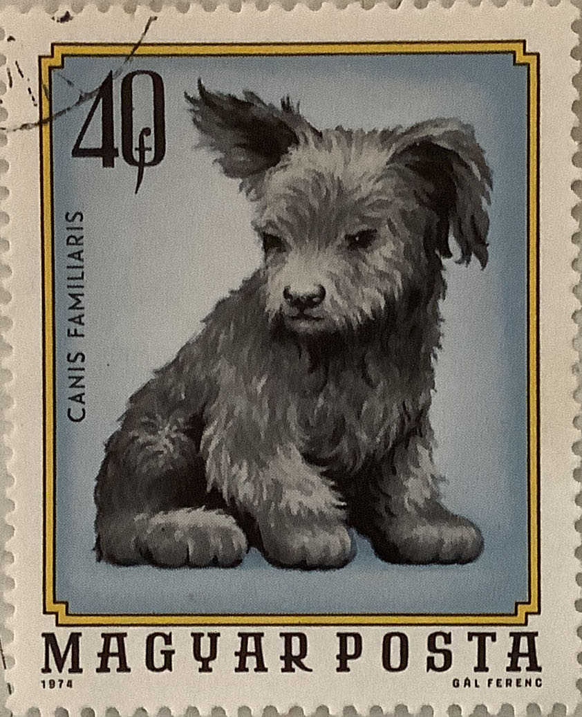 National Coat Of East Germany