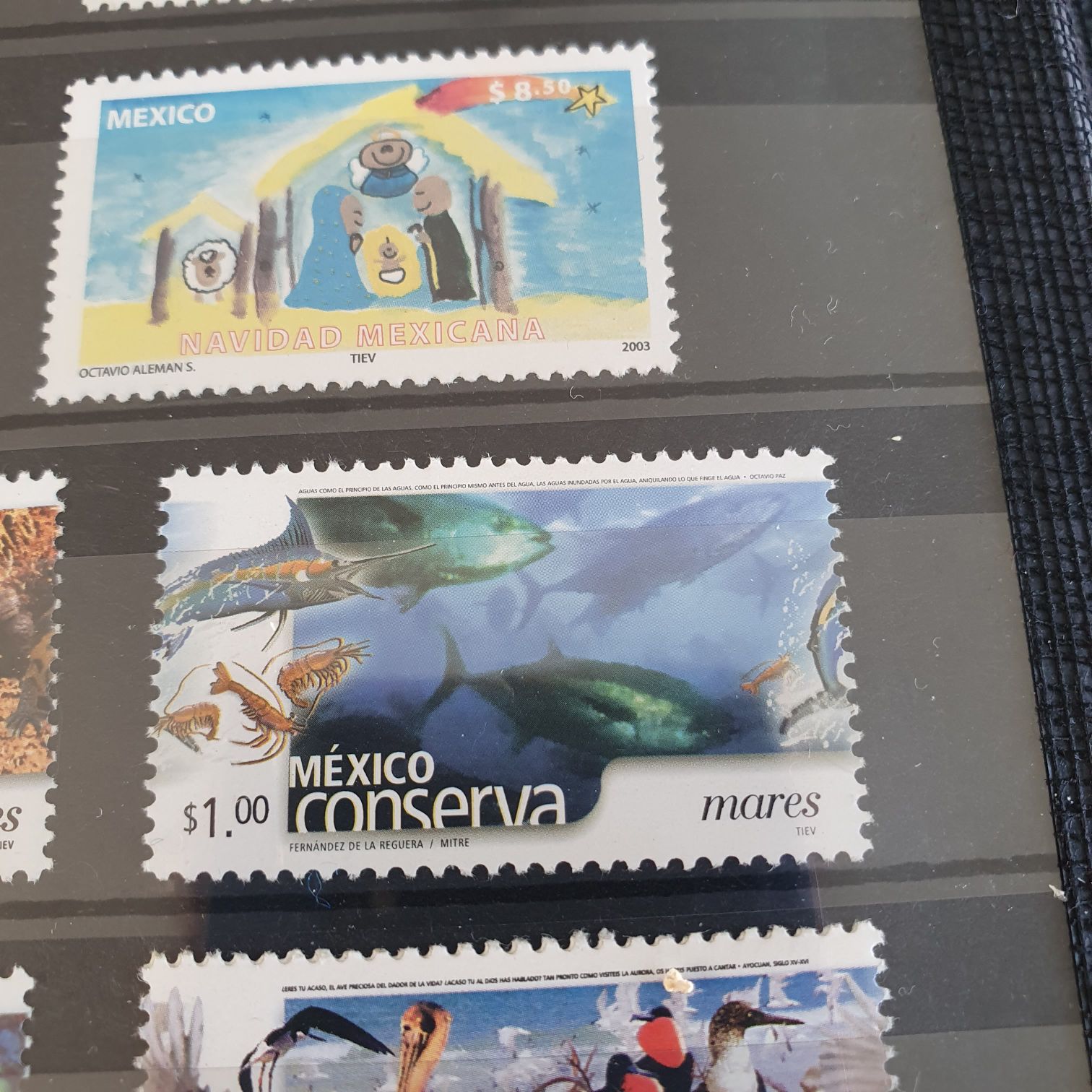 50 Aniversario Colegio De Pilotos aviadores De México