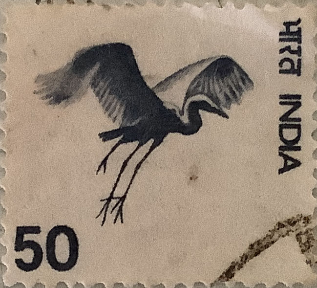 Capital Of Asoka Pillar