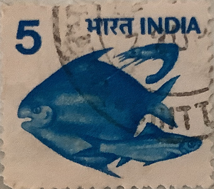 International Year Of Peace