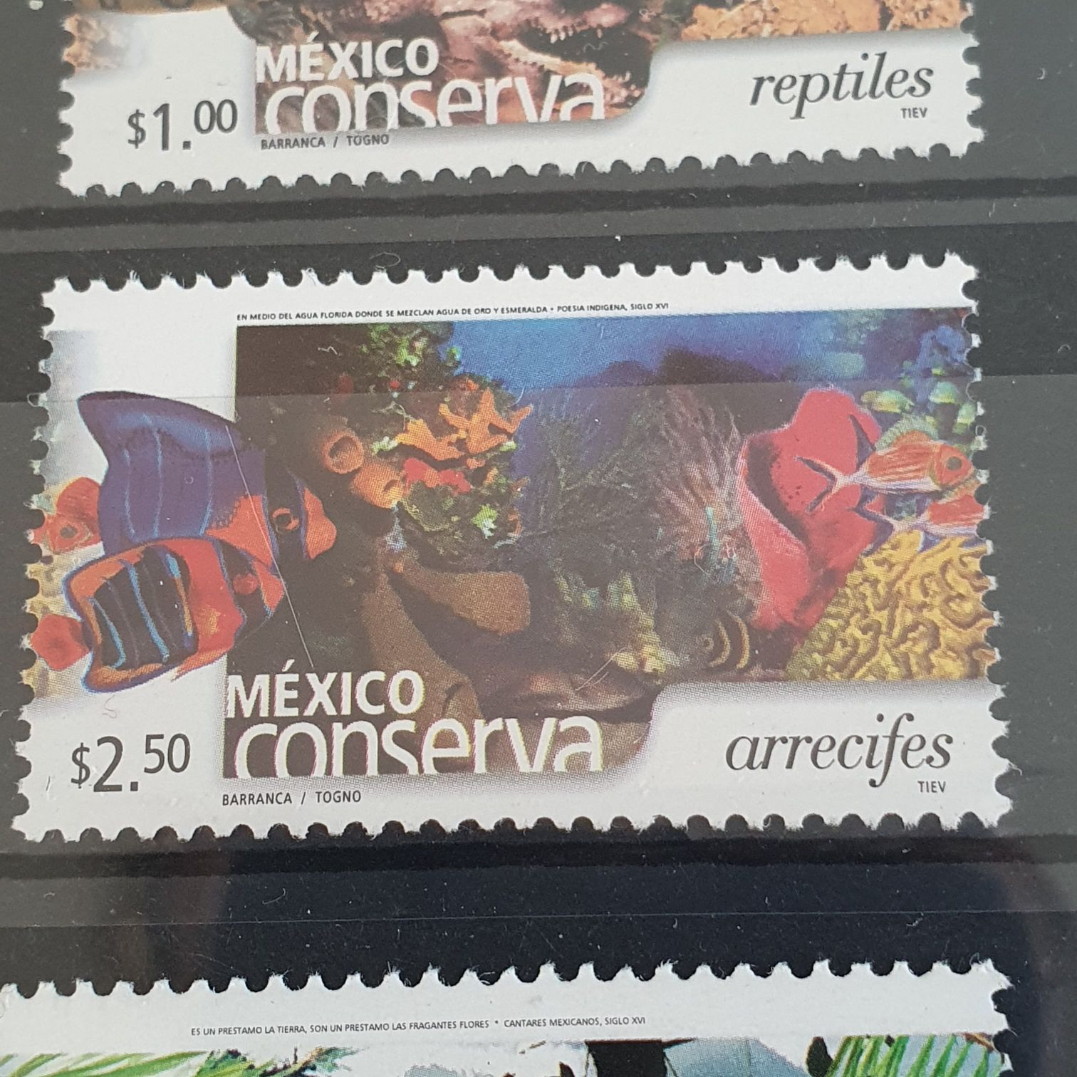 His Royal Highness The Gyalsey Is Born