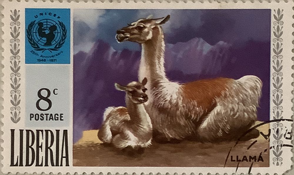 Junonia Orithyia Butterfly