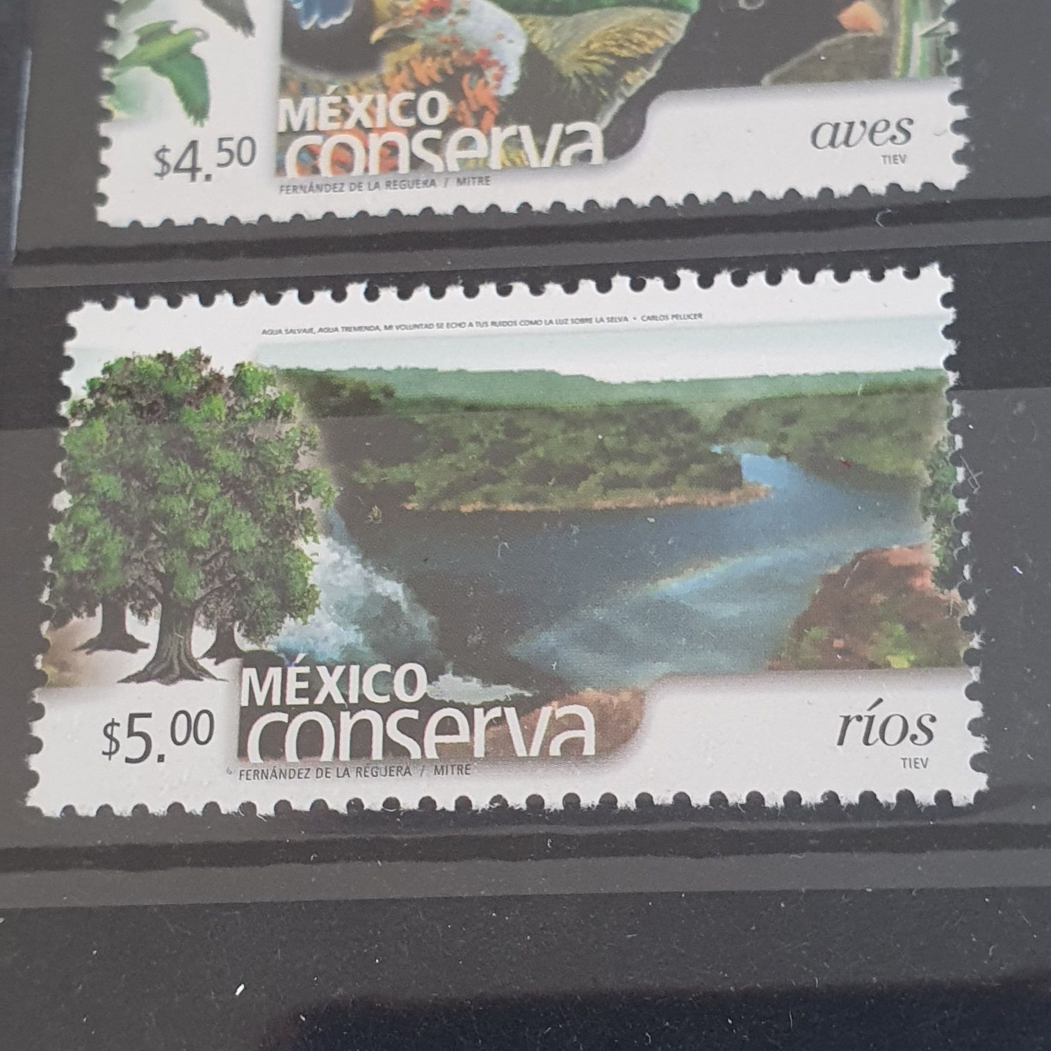 The Four Mythical Animals