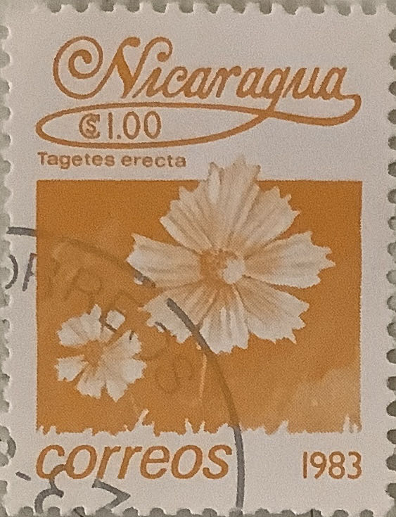 The 50th Anniversary Of The Christmas Stamp Fund