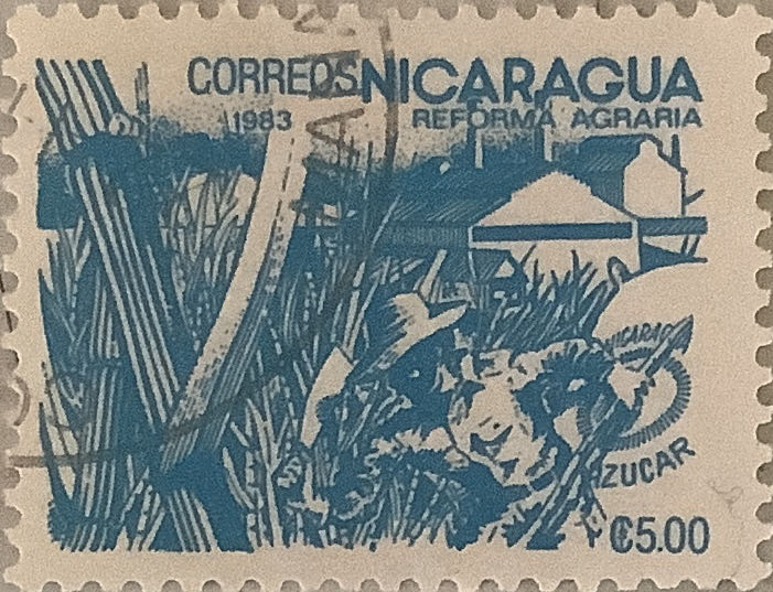 Year Of The Tiger 2021