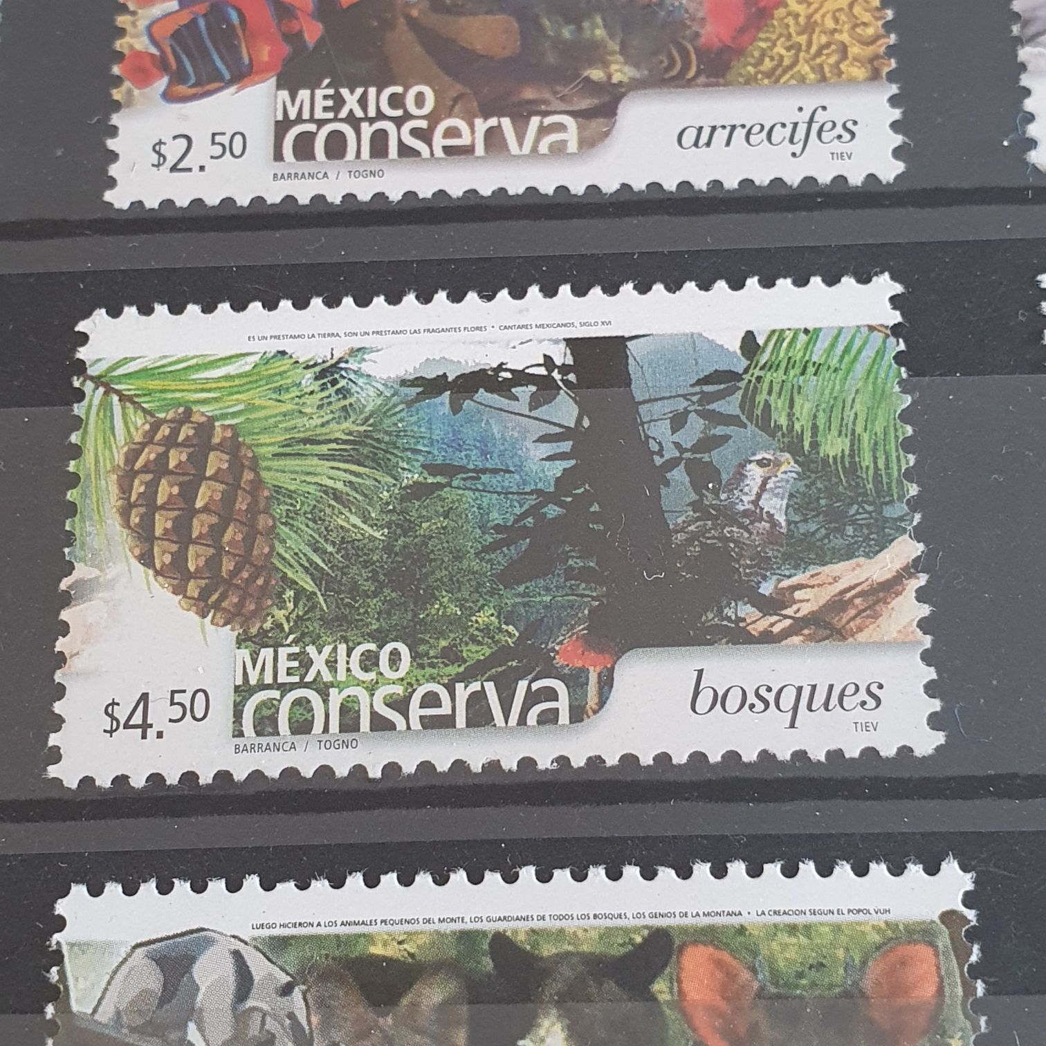 México Conserva, Águilas