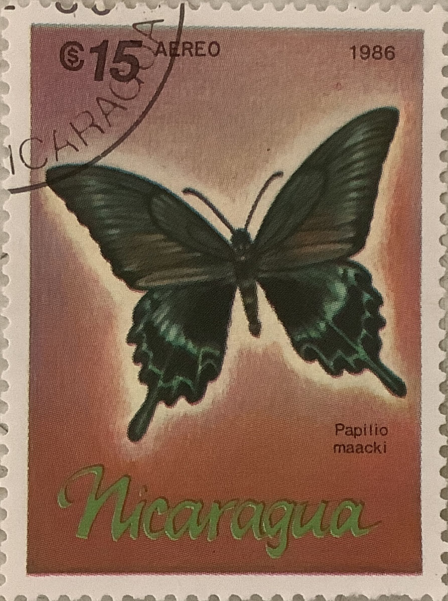 Eeboo: Piece And Love English Cottage Piece Square Jigsaw Puzzle Glossy Sturdy Puzzle Pieces A Cooperative Activity With Friends And Family