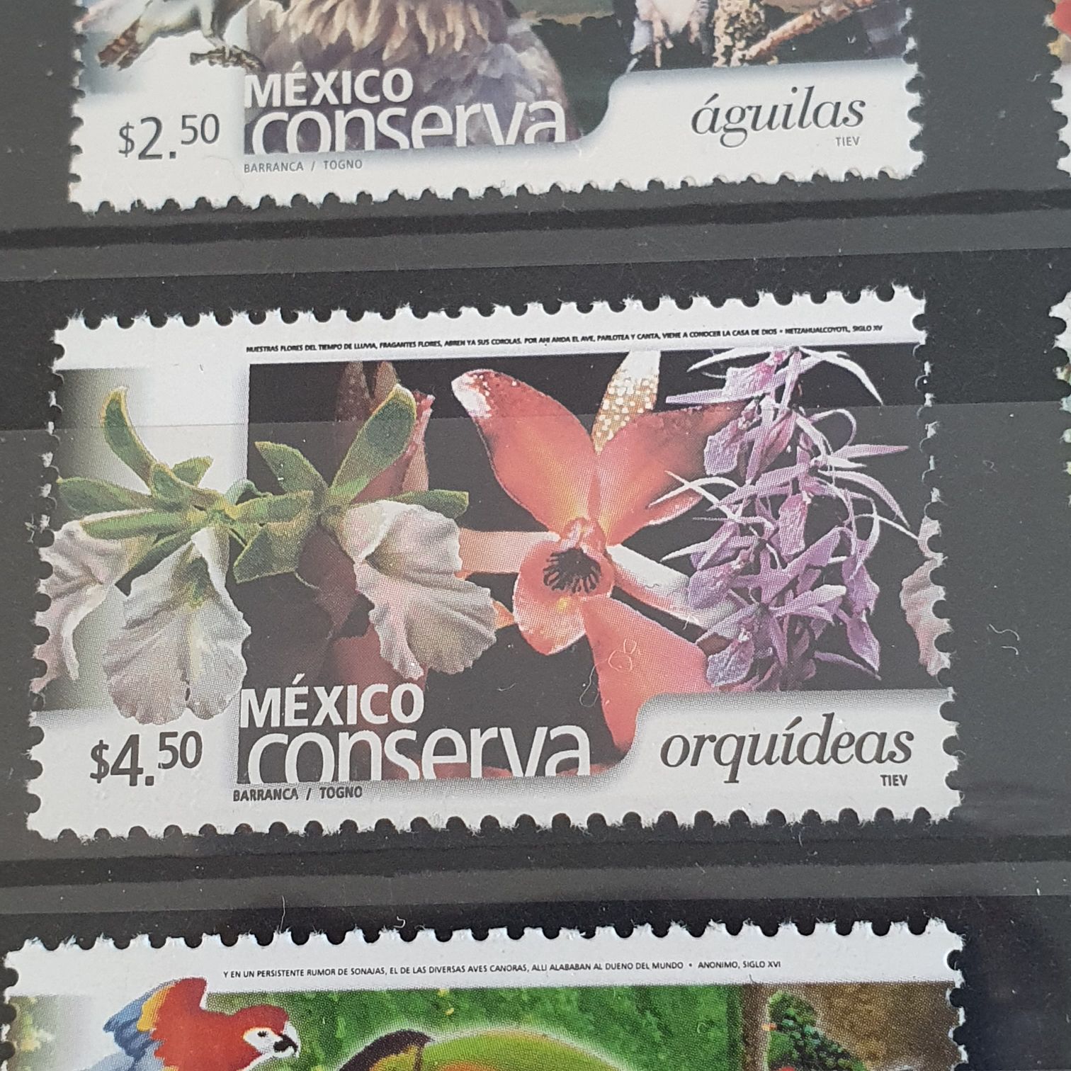 México Conserva Orquídeas  stamp collectible - Main Image 2