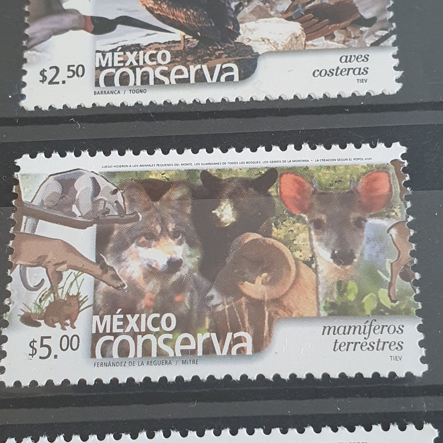 México Conserva Mamíferos Terrestres  stamp collectible - Main Image 2