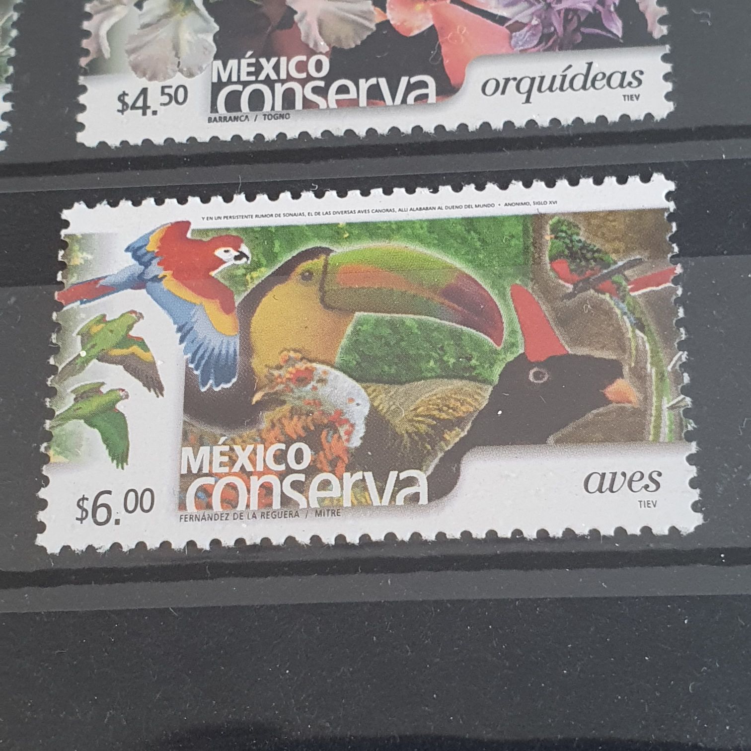 México Creación Popular