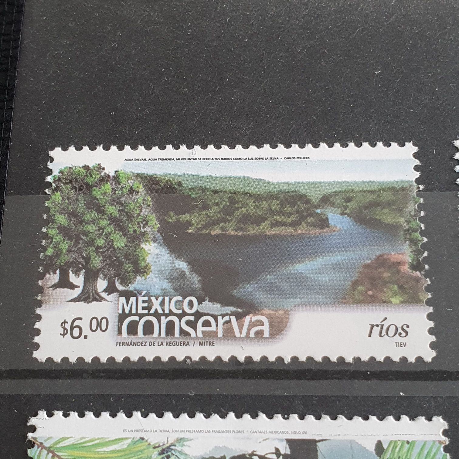 Nueva Ley Del Seguro Social IMSS