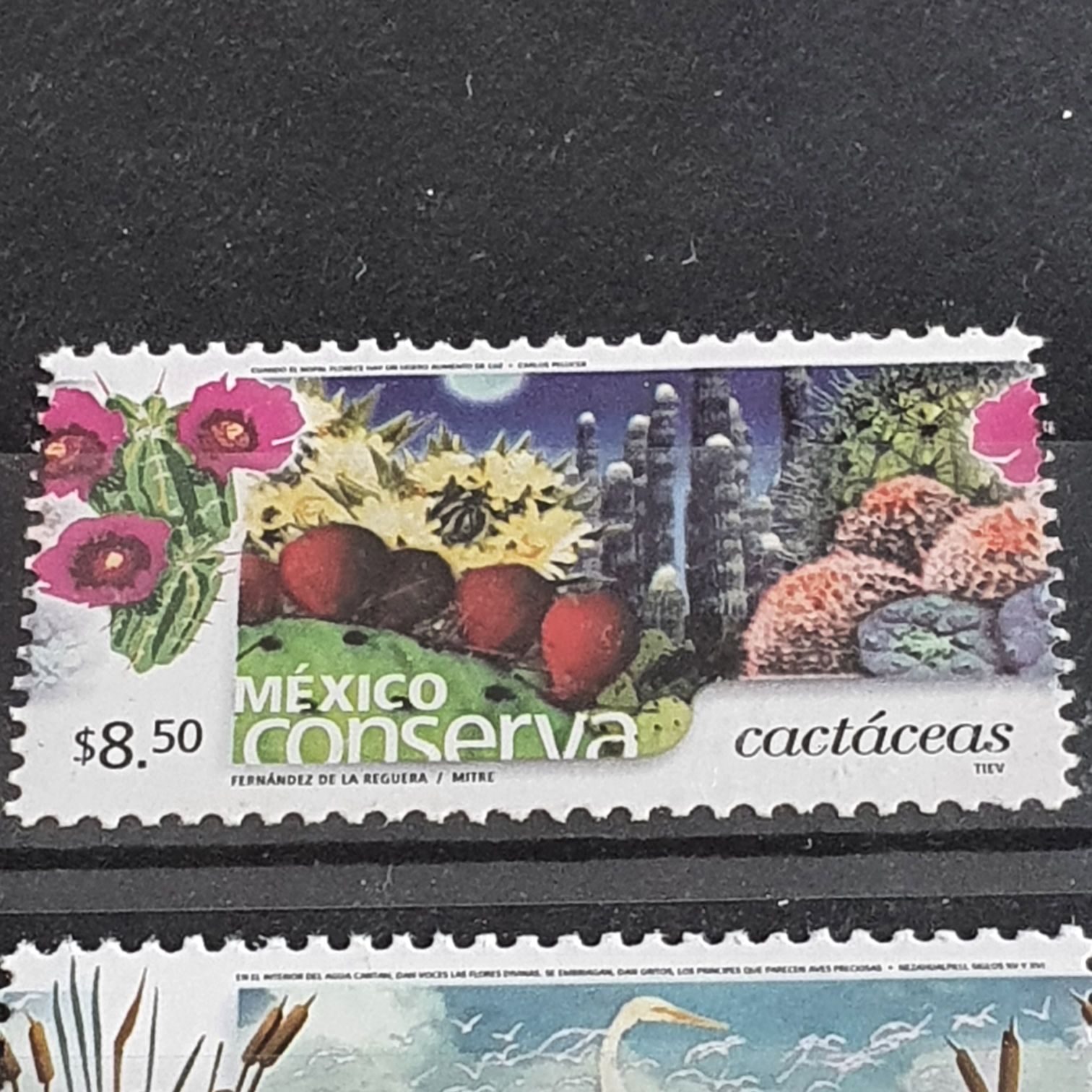 México Conserva Cactaceas  stamp collectible - Main Image 2
