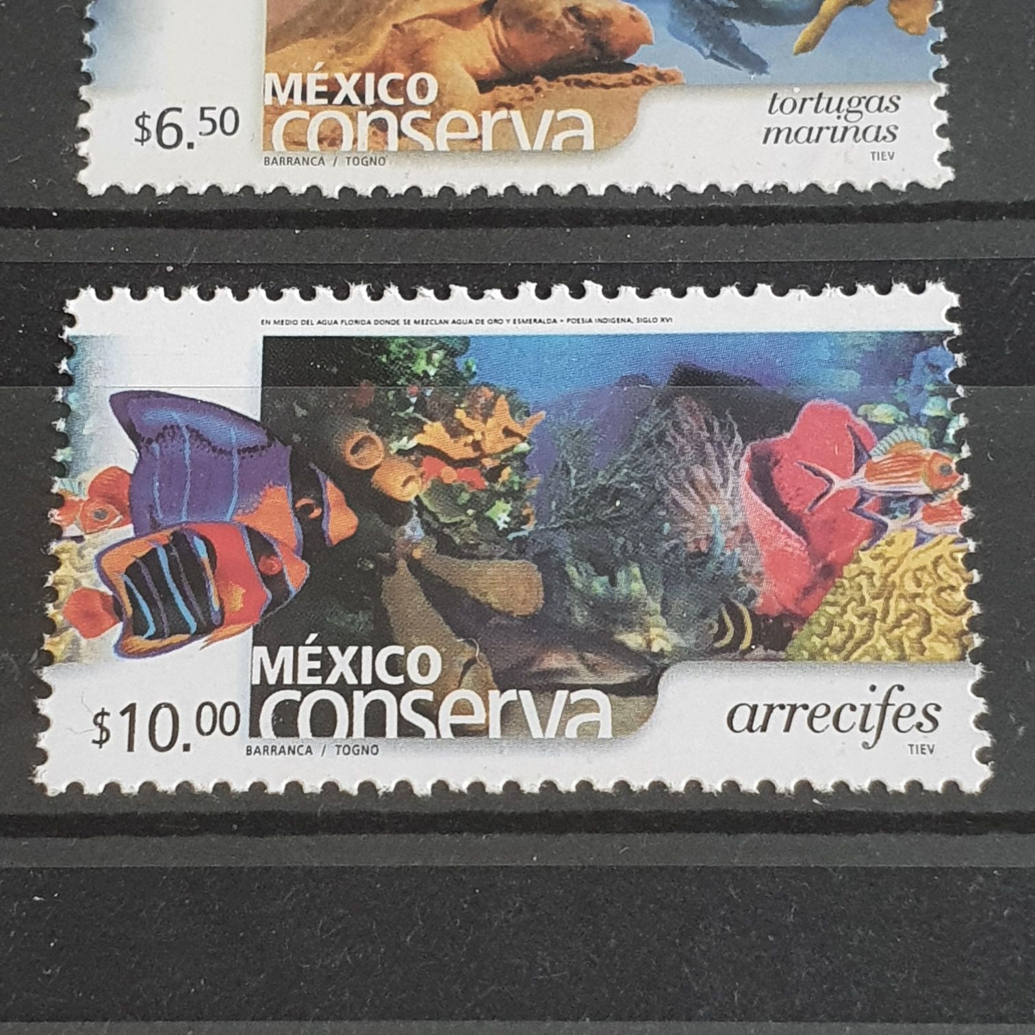 80 Años De La Universidad Autónoma De Nuevo Leon