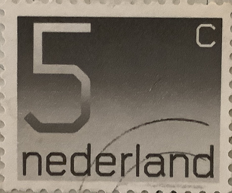 Birds And Marine Life