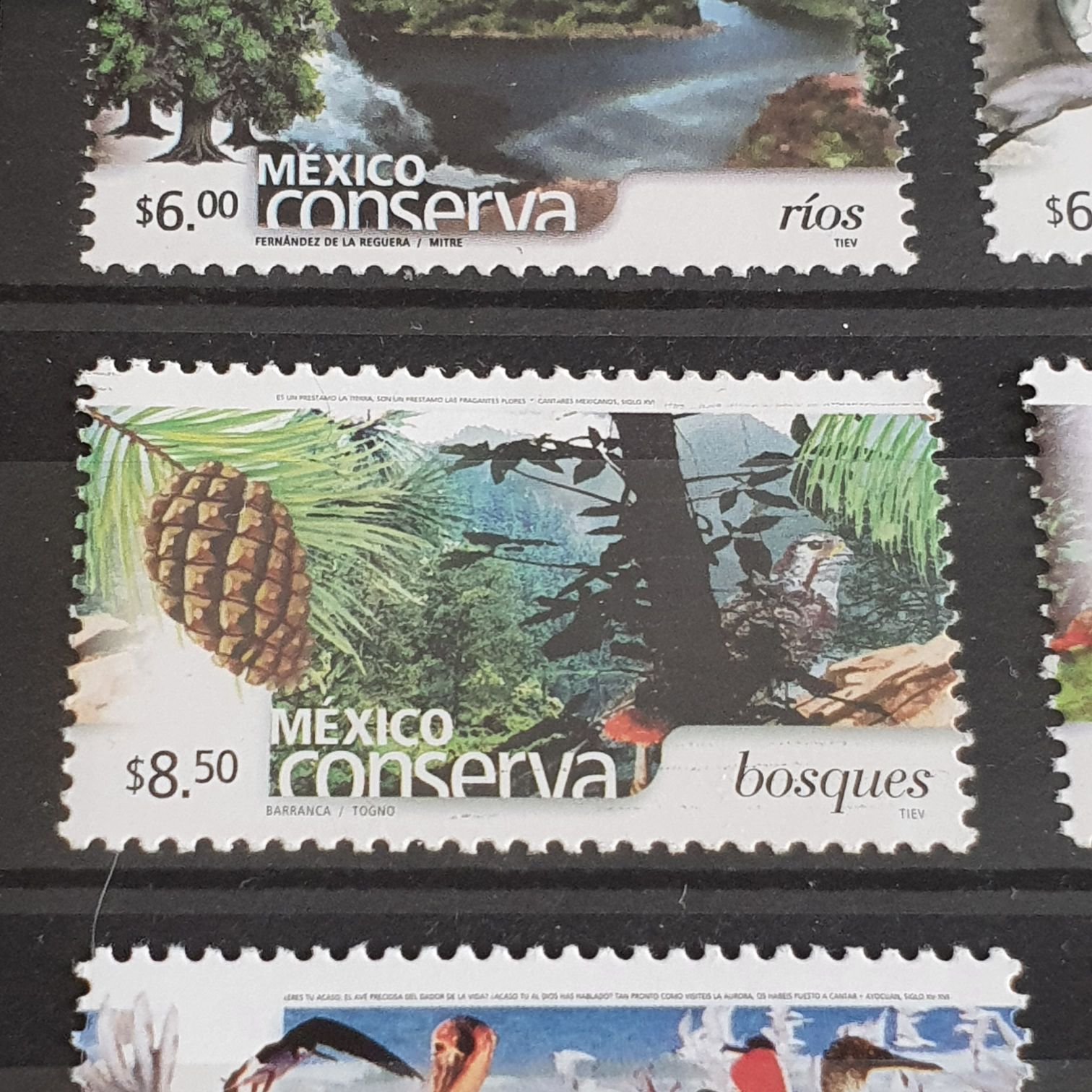 México Conserva Bosques  stamp collectible - Main Image 2