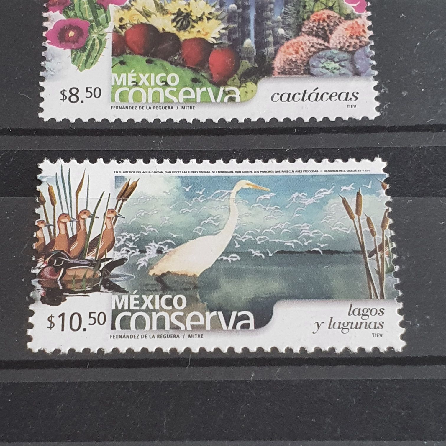 Semana Nacional Sobre La Migración En México