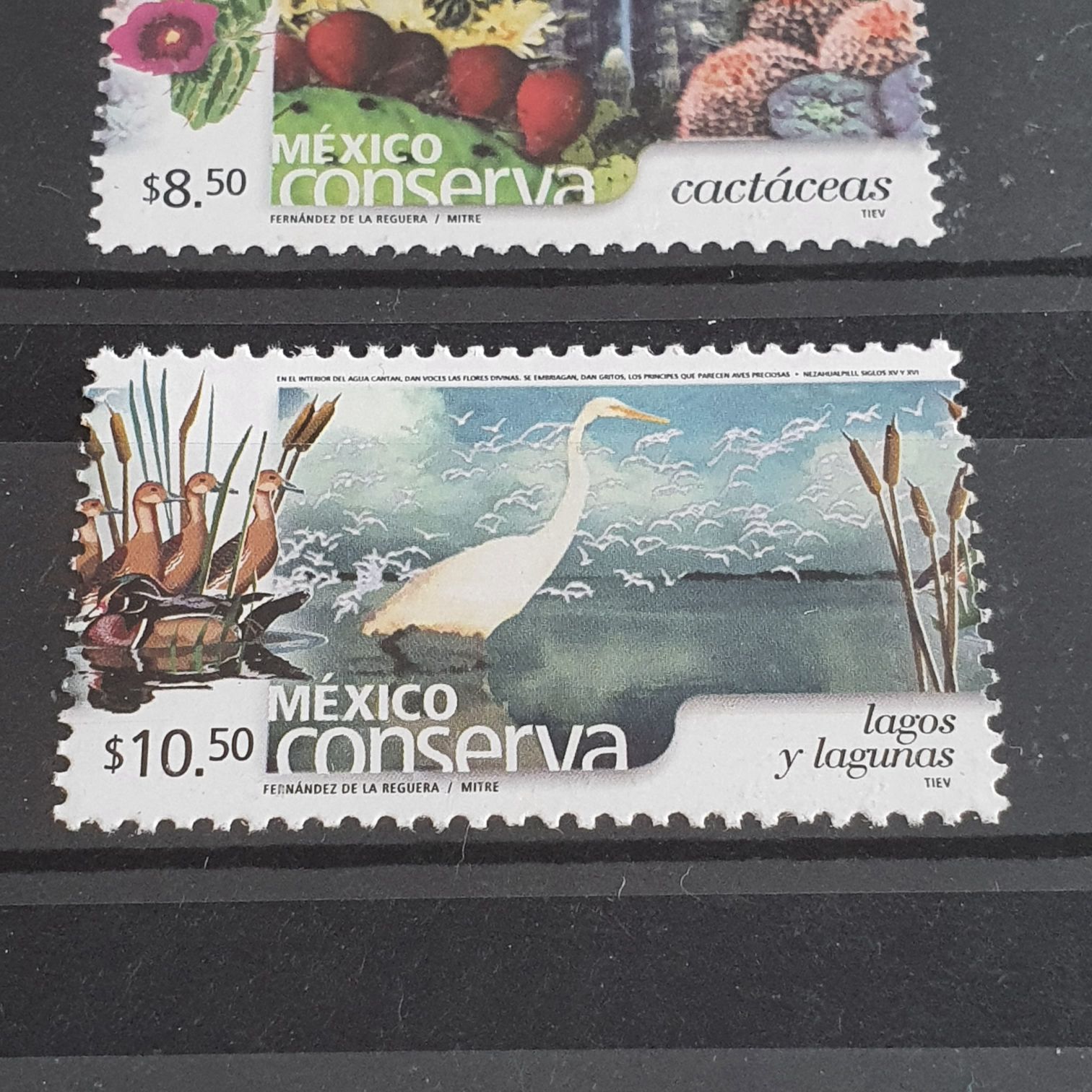 México Conserva Lagos Y Lagunas  stamp collectible - Main Image 2