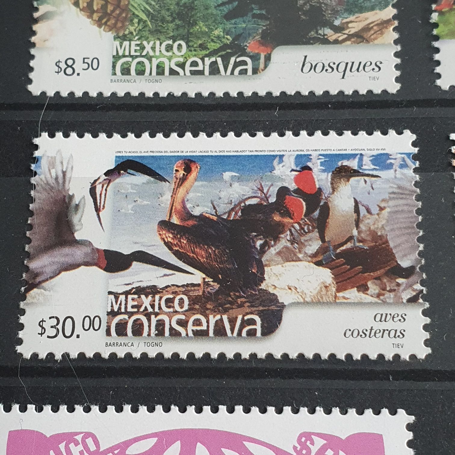 México Conserva Aves Costeras  stamp collectible - Main Image 2