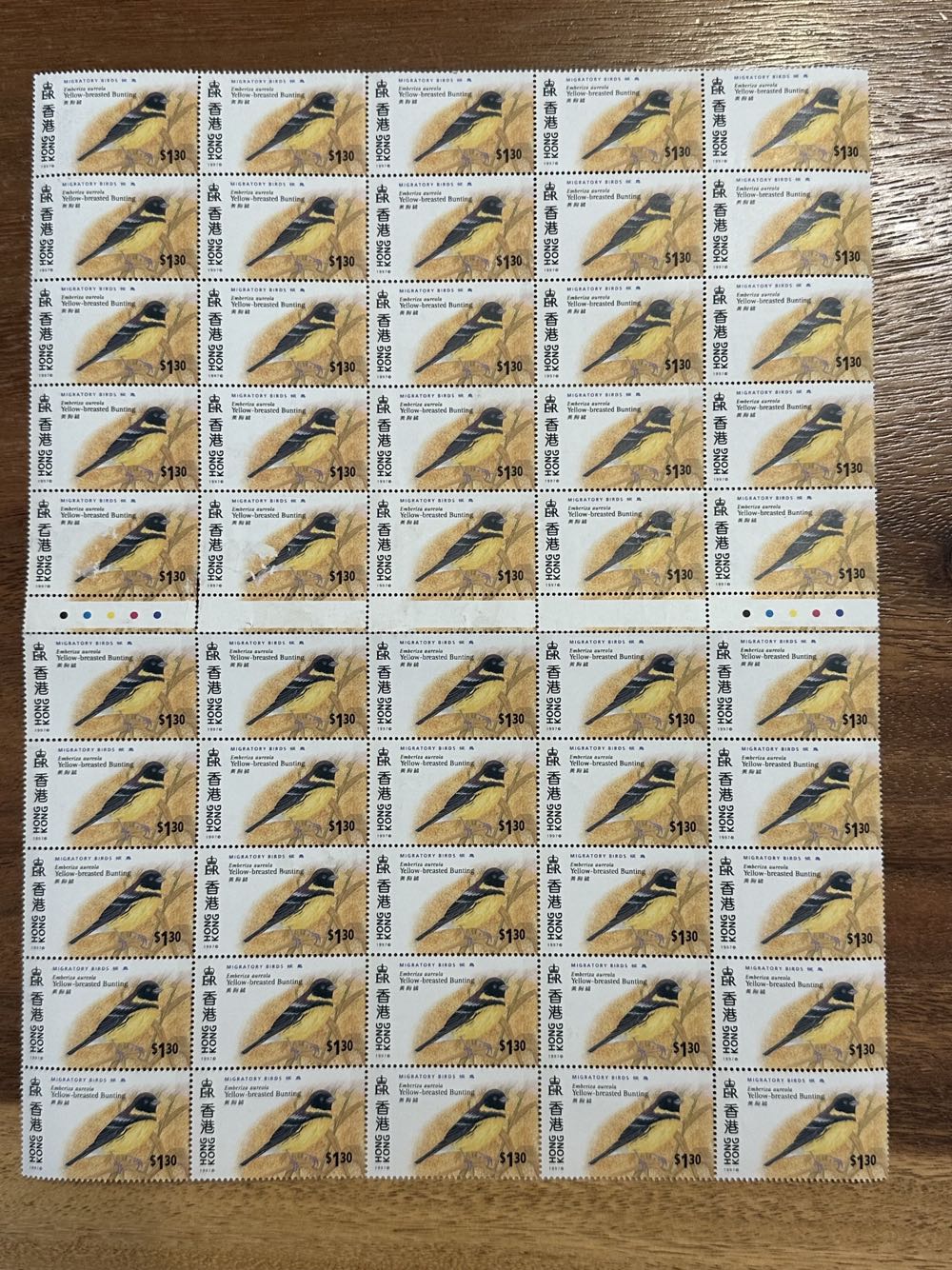 South African Architecture