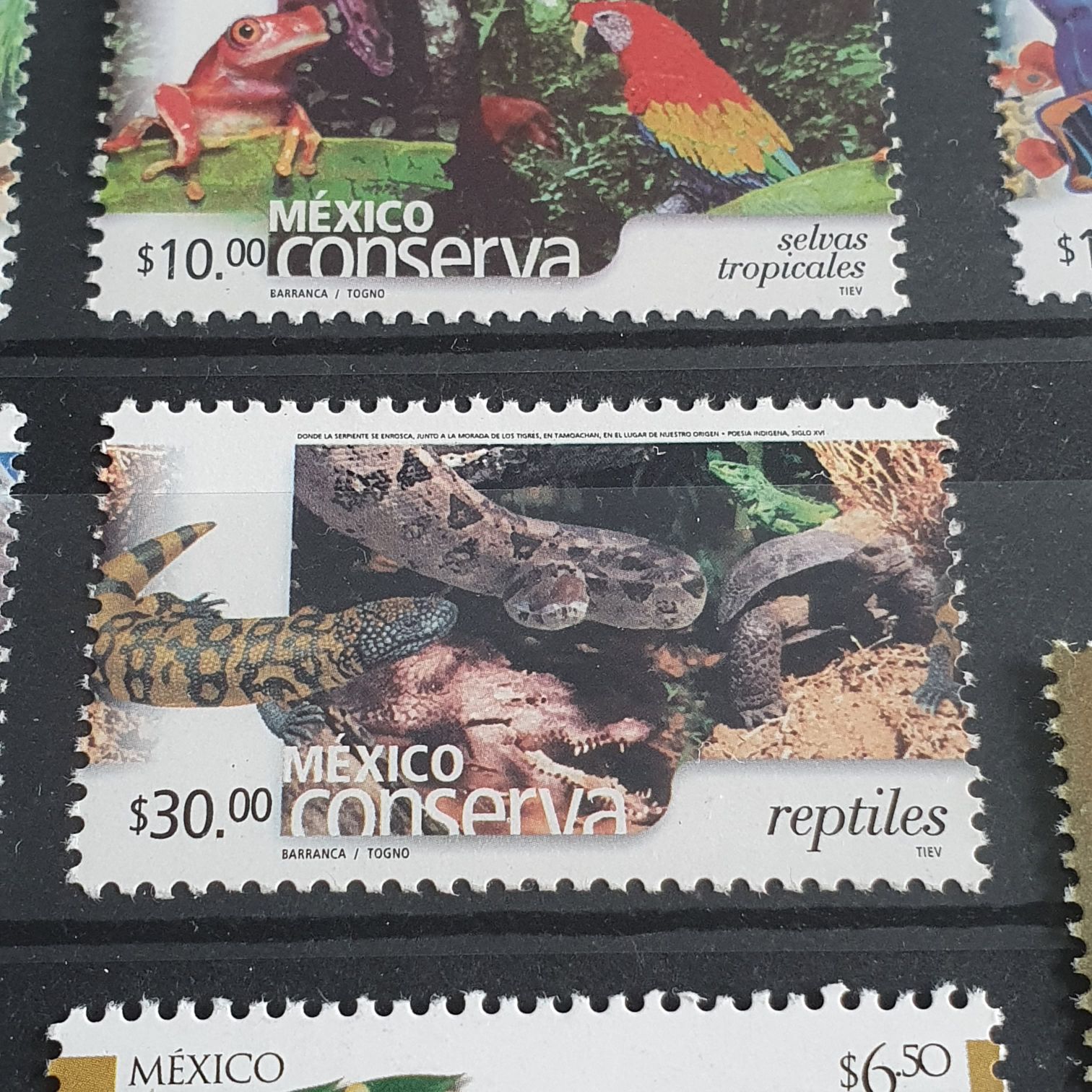 México Conserva Reptiles  stamp collectible - Main Image 2