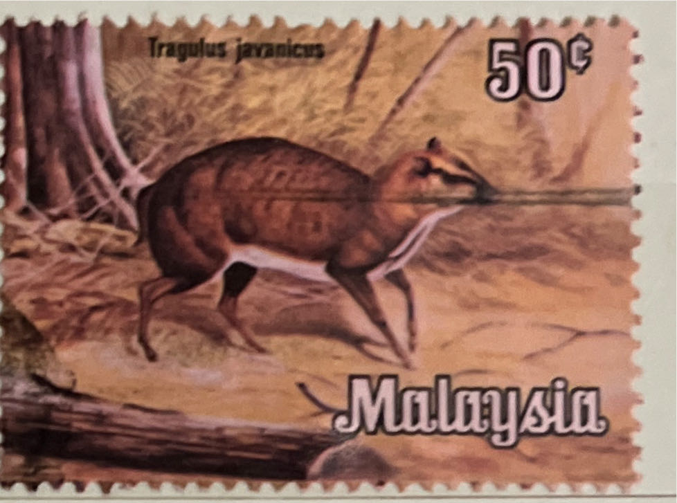 World Meterology Day