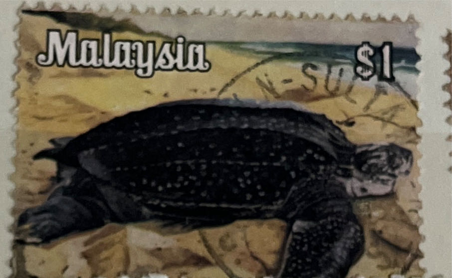 Five Year Plan Berlin Stalinallee New Colours 1955