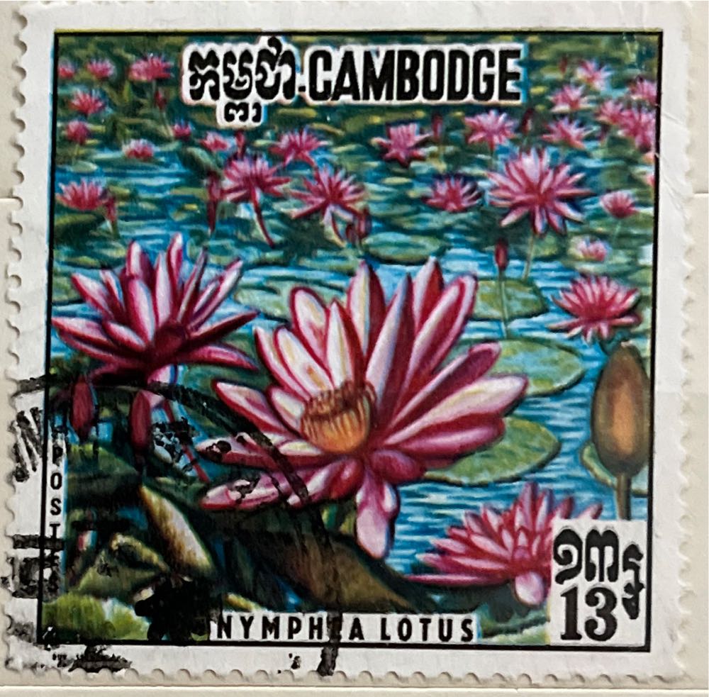 Winners of The Football World Cup From 1930 To 1966