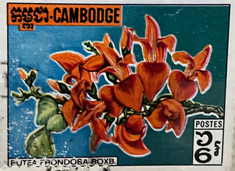 Pnc Australia Dreaming Down Under Kangaroo Perth Mint $1 Coin