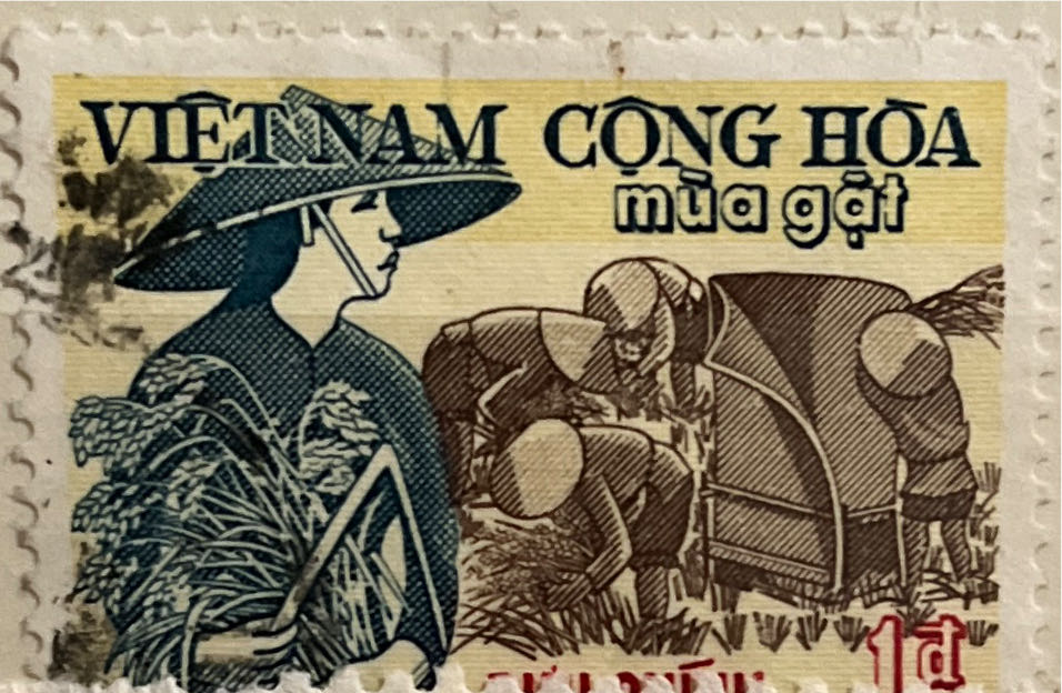 Marbled White Butterfly