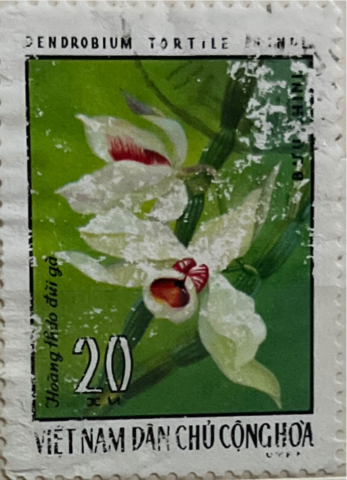 The 12th Anniversary Of The Commonwealth Games Brisbane